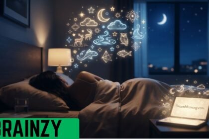 DreamMeaning.com